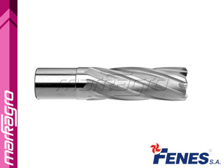 Korunkový  vrták 42 mm x 50 mm, VHM - FENES (0641-231-120-160)