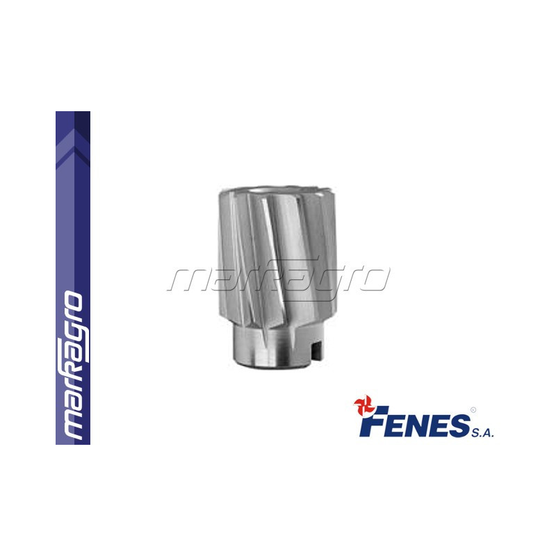 Strojní výstružník D65 H7 nástrčný s břity ve šroubovici DIN219-B HSS - 65 mm (FENES) Strojní výstružník D65 H7 nástrčný s břity ve šroubovici DIN219-B HSS - 65 mm (FENES)